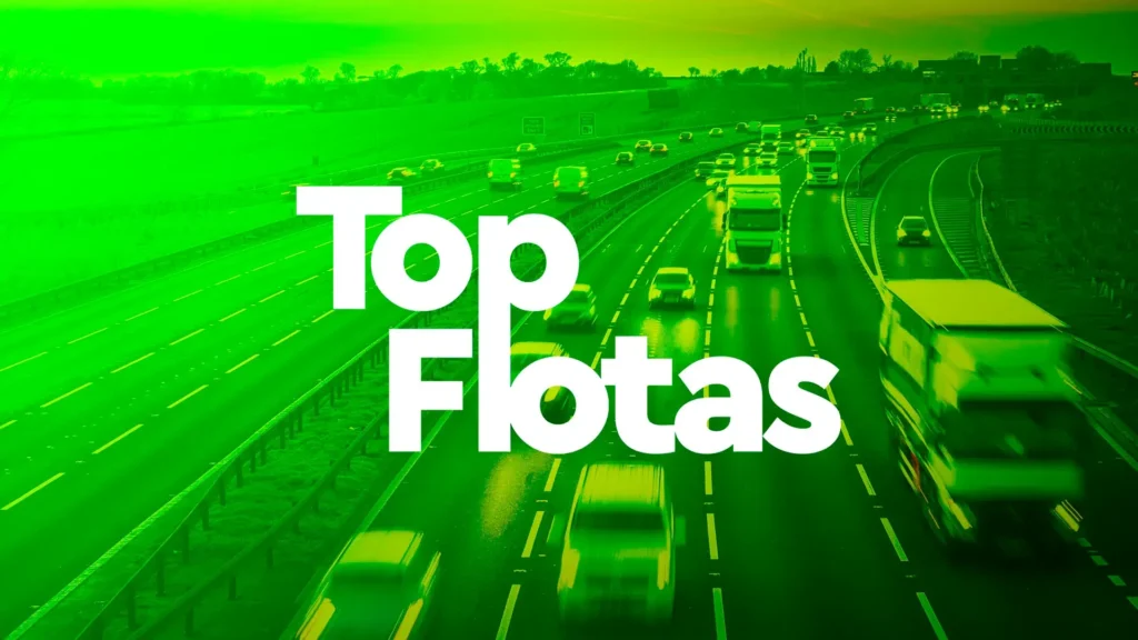 Top Flotas