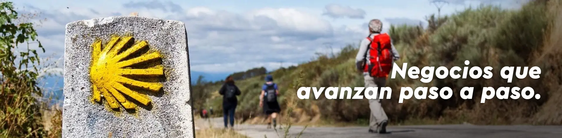 camino santiago networking