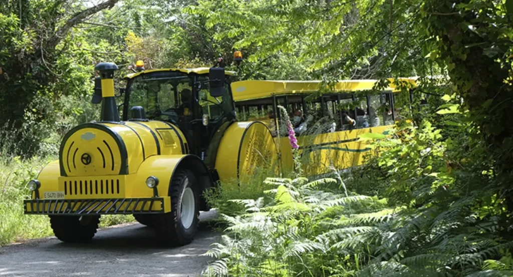 Evento de networking