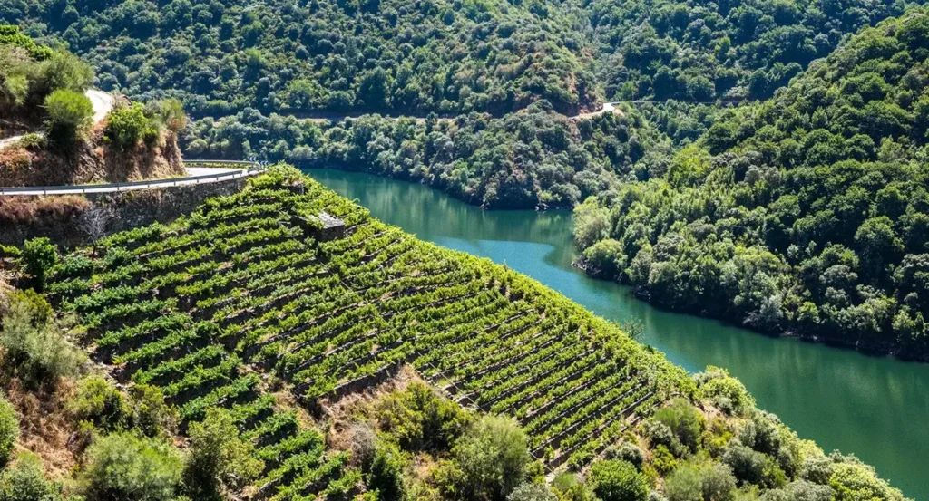 ribeira sacra